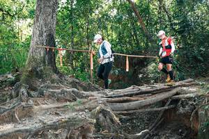 BIB: 
                            <button type="button" onclick="openModal(27745845)" class="btn btn-primary btn-sm float-right btn-popup" data-toggle="modal" data-target=".modal-high-quality">
                        <i class="fas fa-shopping-cart"></i> Add to Cart
                    </button>
                                            <button type="button" onclick="isThisMe(27745845, true)" class="btn btn-success btn-sm float-right btn-popup btn-isme hidden" data-toggle="tooltip" data-placement="bottom" title="นี่คือรูปของคุณใช่ไหม คลิกที่นี่เพื่อเอาเข้าอัลบั้ม">
                        <i class="fas fa-plus"></i> Add to album
                    </button>
                    <button type="button" onclick="isThisMe(27745845, false)" class="btn btn-warning btn-sm float-right btn-popup btn-isnotme hidden">
                        <i class="fas fa-ban"></i> Remove from album
                    </button>